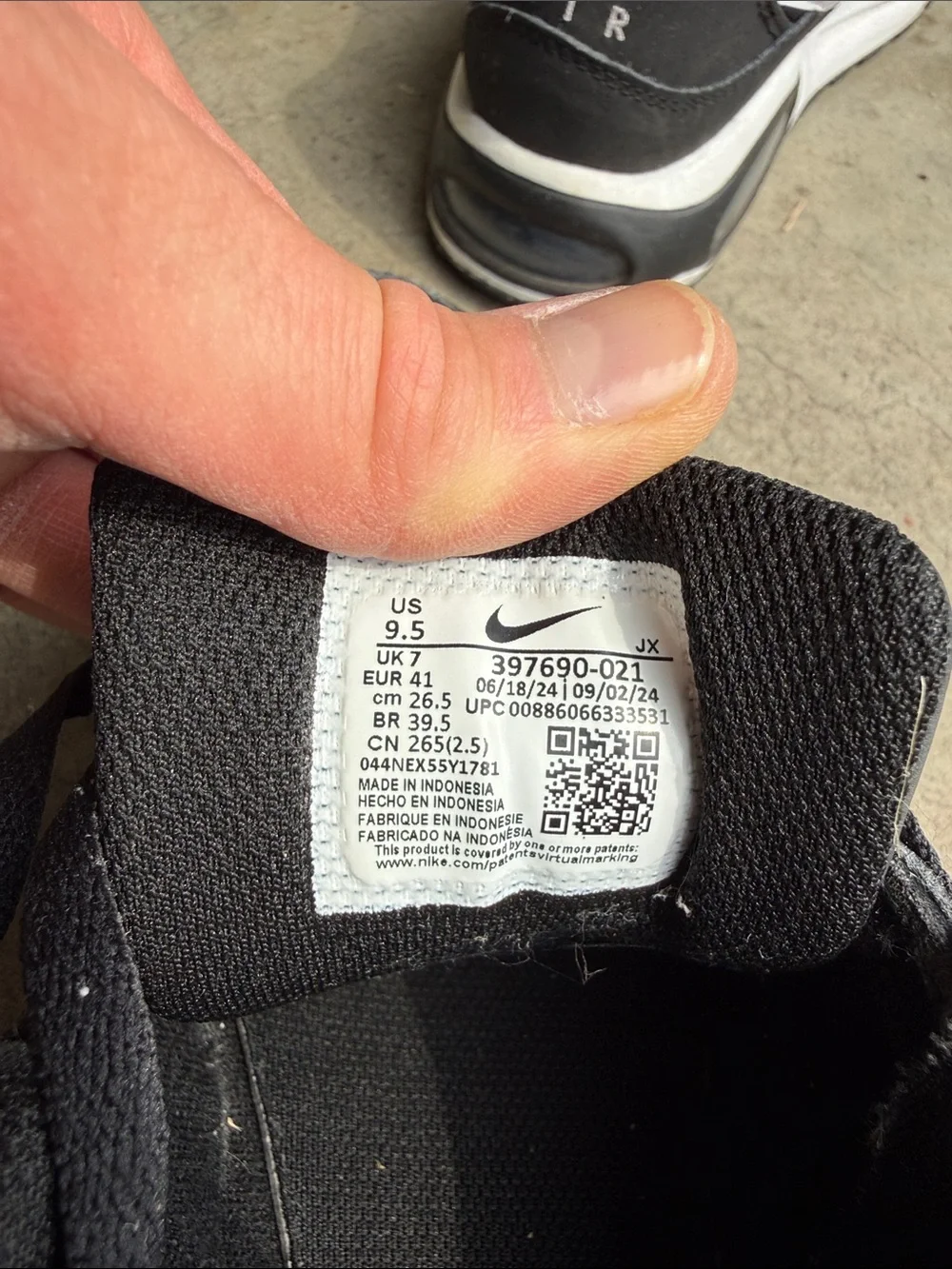 Nike Air Max Black and White Low-Top Sneakers